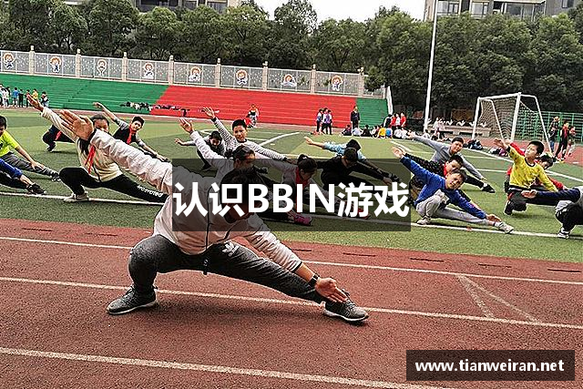 认识BBIN游戏
